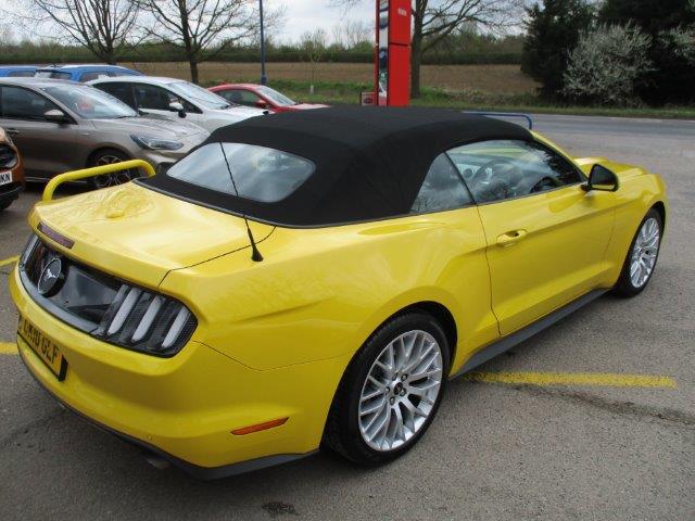 Nearly New Mustang Essex Chelmsford