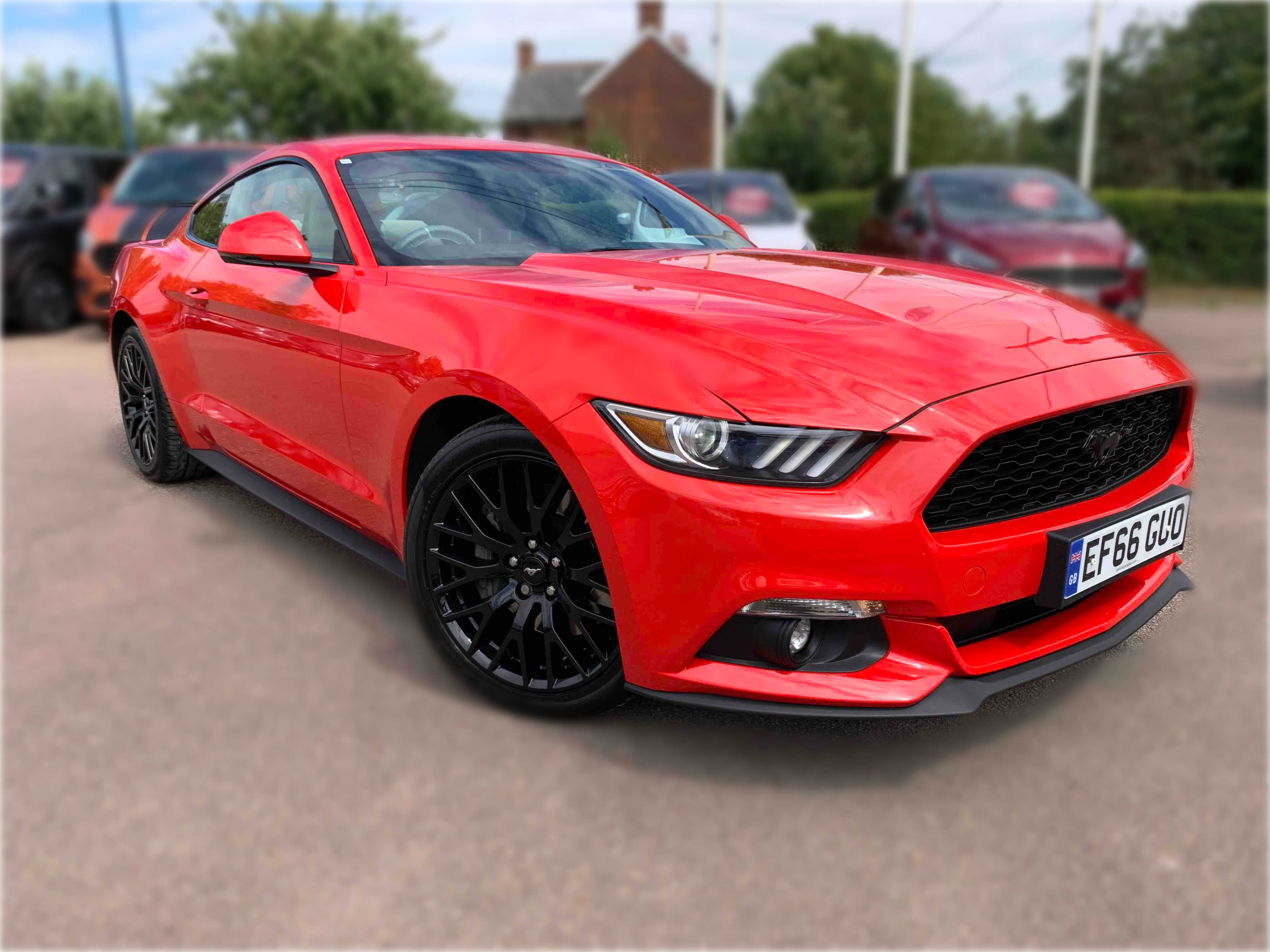 2.3 EcoBoost Used Ford Mustang Braintree